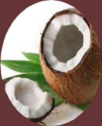 Extra Virgin Organic Coconut Oil Benefits Extra Virgin Organic Coconut Oil Benefits