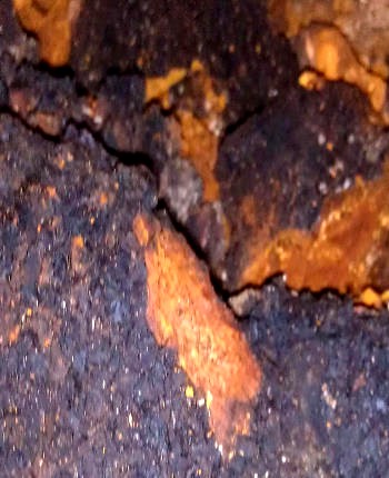 Chaga Mushroom Benefits Chaga Mushroom Benefits