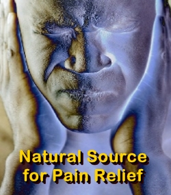 Ormus Minerals Advanced Natural Pain Relief & Nerve Support Ormus Minerals Advanced Natural Pain Relief & Nerve Support